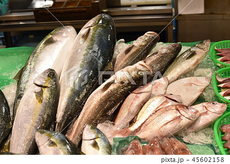 近江町市場の魚 近江町市場の魚 45602158