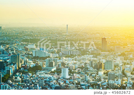 skyline aerial view of shinjuku in Tokyo, Japan skyline aerial view of shinjuku in Tokyo, Japan 45602672