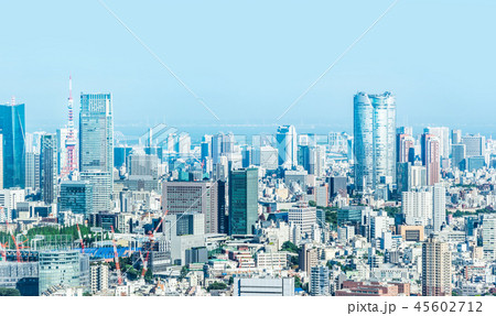 skyline aerial view of shinjuku in Tokyo, Japan 45602712