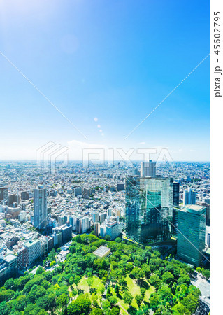 skyline aerial view of shinjuku in Tokyo, Japan 45602795