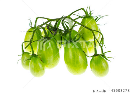 Branch of green unripe cherry tomatoes Branch of green unripe cherry tomatoes 45603278