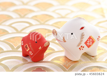 亥年 亥年 45603624