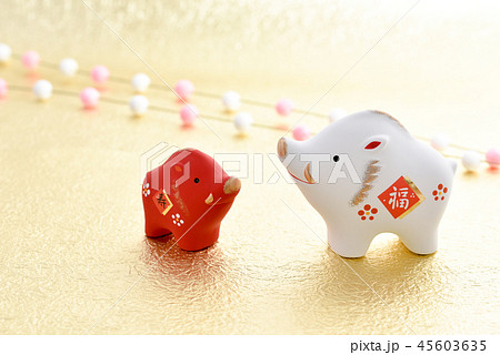 亥年 亥年 45603635
