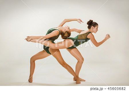 The two modern ballet dancers The two modern ballet dancers 45603682