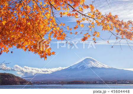 Mt Fuji  the early morning 45604448