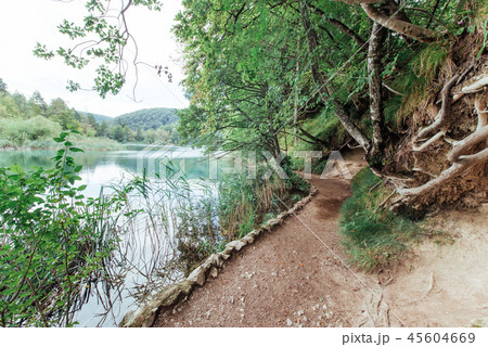 A photo of fishes swimming in a lake, taken in the national park Plitvice Croatia. 45604669