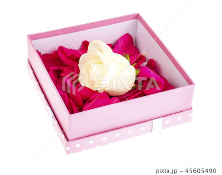 Petals and heads of roses in square gift box 45605490