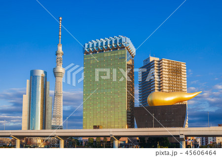 東京スカイツリータワーとビル 東京スカイツリータワーとビル 45606464