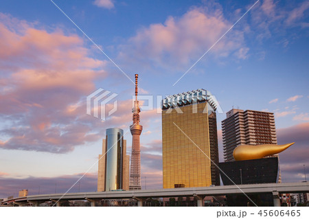 隅田川と東京スカイツリータワー 夕景 隅田川と東京スカイツリータワー 夕景 45606465