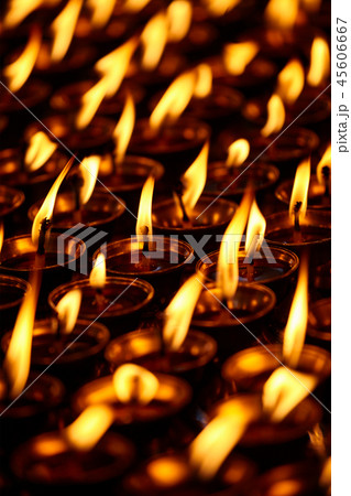 Burning candles in Buddhist temple. Dharamsala, Himachal Pradesh 45606667