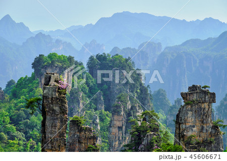 Zhangjiajie mountains, China Zhangjiajie mountains, China 45606671