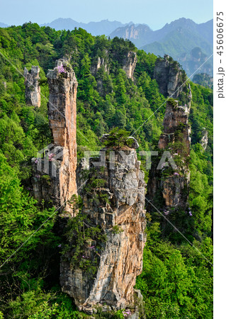 Zhangjiajie mountains, China Zhangjiajie mountains, China 45606675