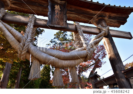 新宮熊野神社 長床　鳥居 45608242