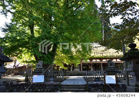 新宮熊野神社 長床 45608244