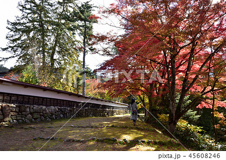 福満虚空蔵尊圓蔵寺 45608246