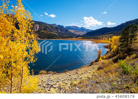Autumn in Colorado 45608579