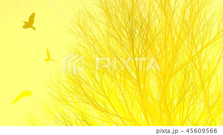 Lonely tree without leaves in fog or mist lit by bright orange sun god rays and flying seagulls Lonely tree without leaves in fog or mist lit by bright orange sun god rays and flying seagulls 45609566