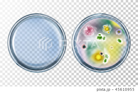 Antibiotics test with before, after effect vector Antibiotics test with before, after effect vector 45610955