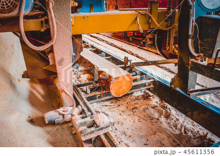 Sawmill. Process of machining logs in sawmill machine saws the t Sawmill. Process of machining logs in sawmill machine saws the t 45611356