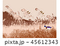 秋 葦 季節 45612343