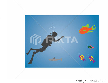 海 動物 魚類 45612350