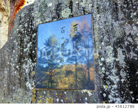 深田久弥の石碑 45612786