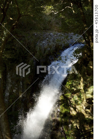 河津七滝〜釜滝 河津七滝〜釜滝 45613700