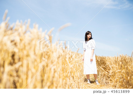 花畑と女性 ポートレート 花畑と女性 ポートレート 45613899