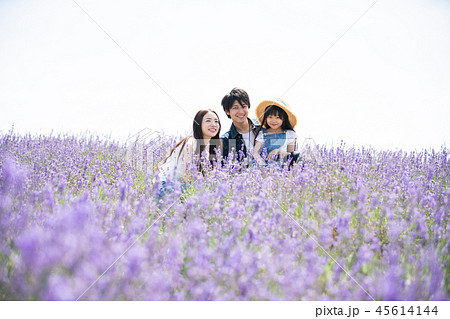 花畑と家族 45614144