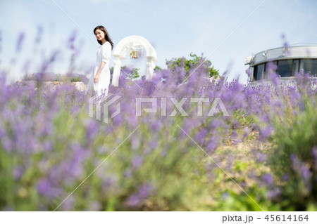 花畑と女性　ポートレート 45614164