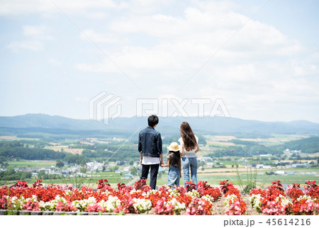 花畑と家族 花畑と家族 45614216