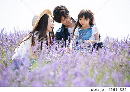 花畑と家族 45614325