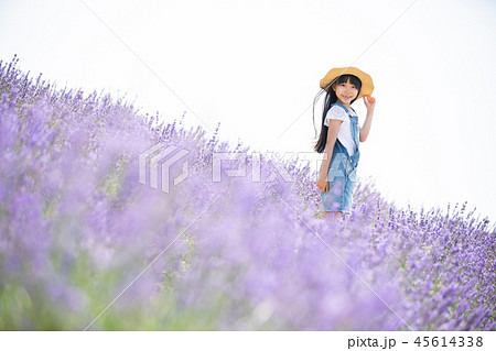 花畑と女の子の写真素材