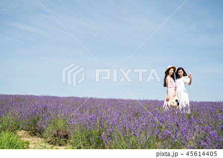 花畑と女性　ポートレート 45614405