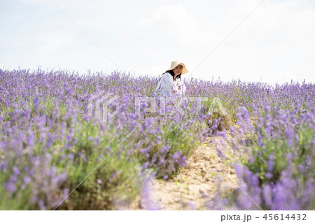 花畑と女性　ポートレート 45614432