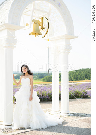 ウェディング　ポートレート　北海道 45614556