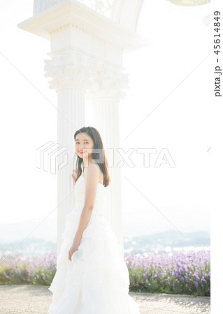 ウェディング　ポートレート　　北海道 45614849