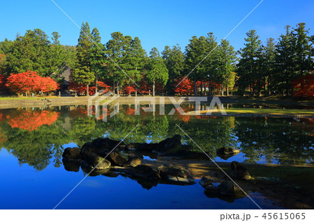 世界遺産　紅葉の毛越寺 45615065