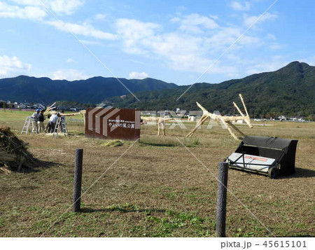 やよいの風公園 45615101