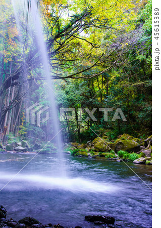 鍋ヶ滝の滝の紅葉 水のカーテン 熊本県阿蘇郡小国町 の写真素材