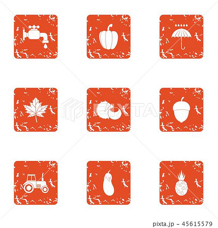 Autumn garden icons set, grunge style 45615579