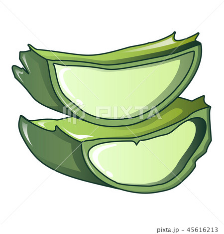Cut aloe vera icon, cartoon style 45616213