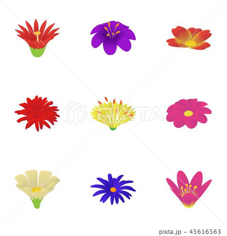 Paper flower icons set, isometric style 45616563