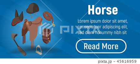 Horse concept banner, isometric style 45616959