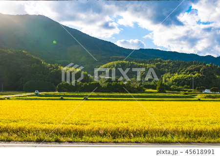 田園風景 45618991