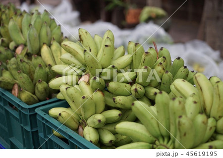 Banana is a fruit	 45619195