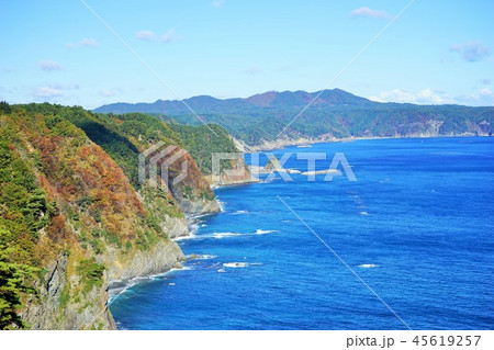 三陸ジオパーク秋の鵜の巣断崖 45619257