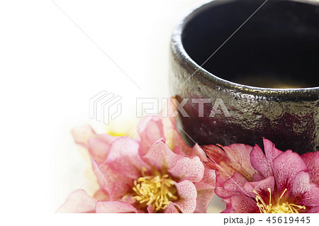 黒い器とピンクのクリスマスローズと白背景 45619445