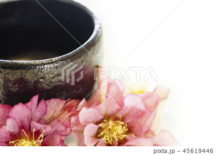 黒い器とピンクのクリスマスローズと白背景 45619446