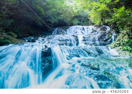 魚止めの滝　北軽井沢 45620263